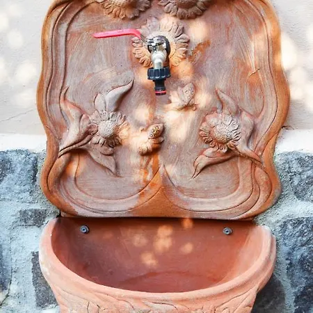 Il Gelsomino *